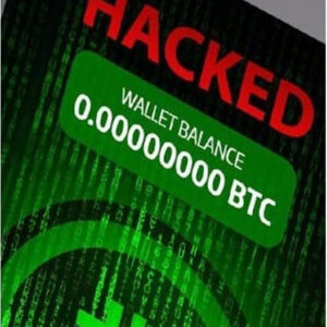 Bruteforce ECDSA [ RAT Spy Recovery Tool]