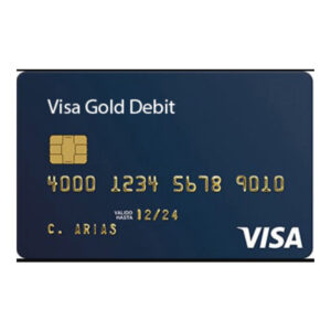 USA VISA [DEBIT] | $2500+ Balance